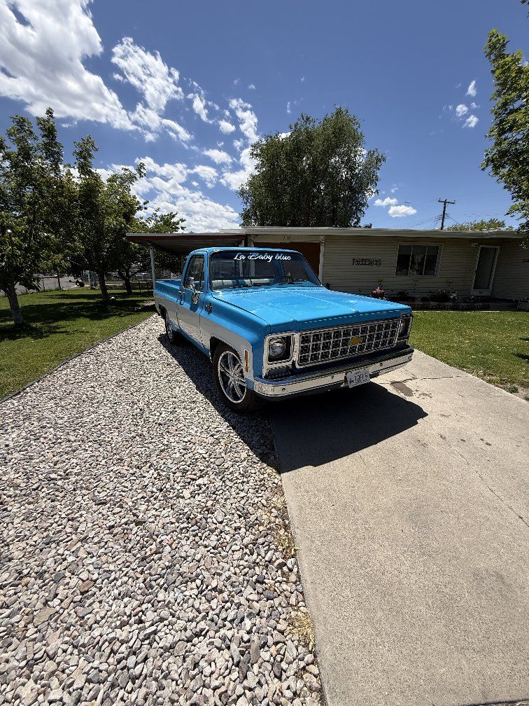 1980 Chevrolet C-Series 