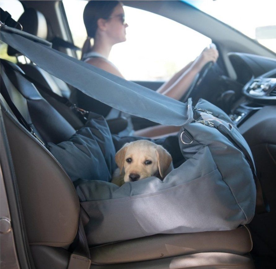 Dog Car Seat