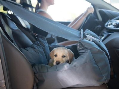 Dog Car Seat