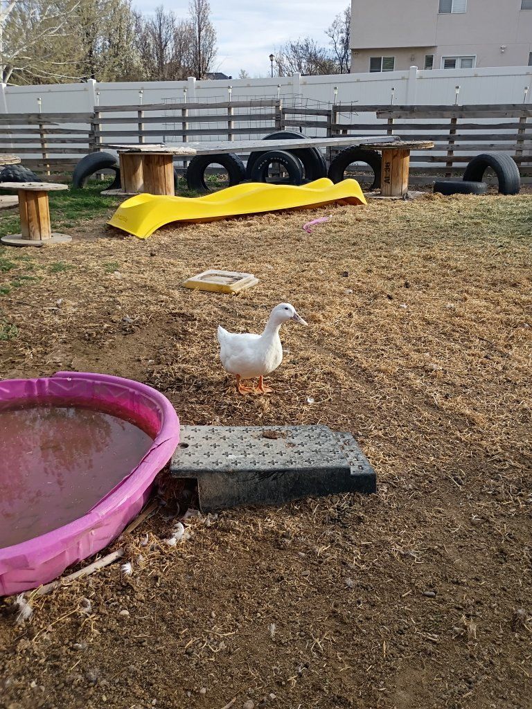 Main image 4