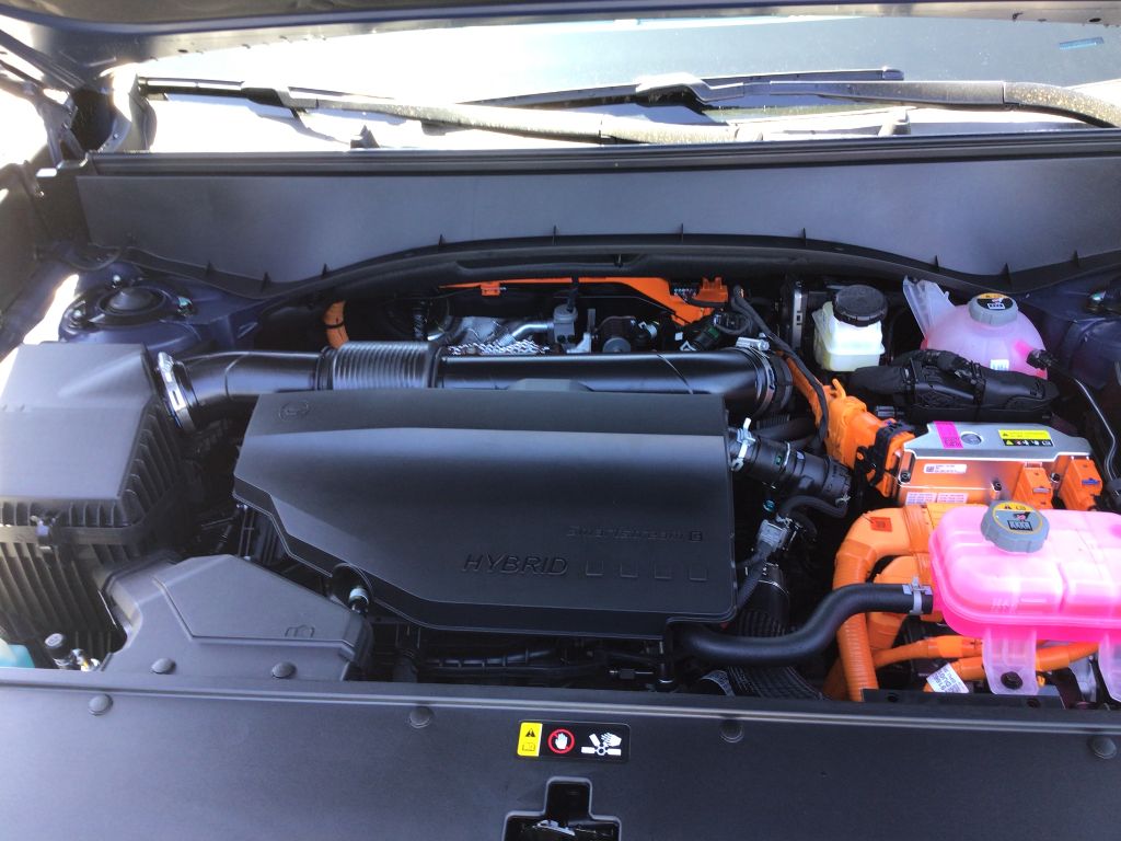 Main image 5