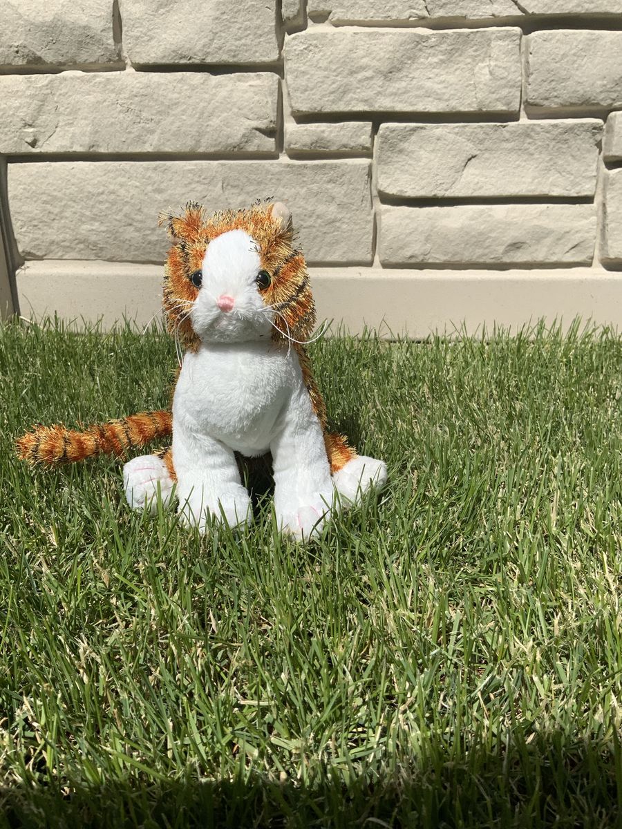 Webkinz striped alley cat