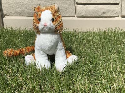 Webkinz striped alley cat