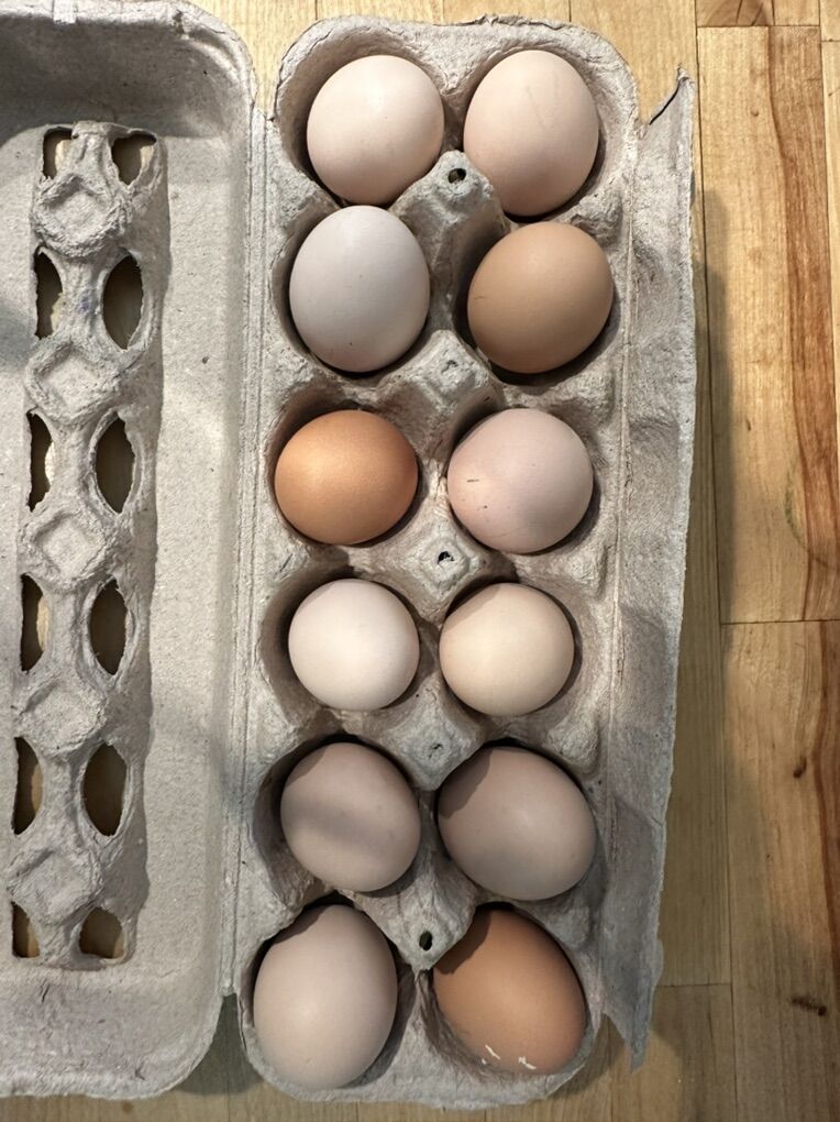 Farm Fresh Eggs $3.50