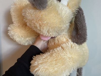 Disney Parks - Puppy Pluto Plush - Extra Soft