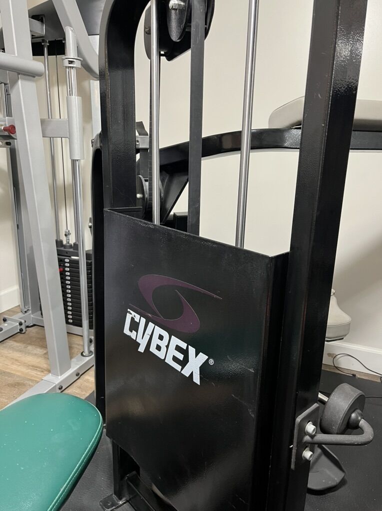 Cybex Abdominal cable Machine