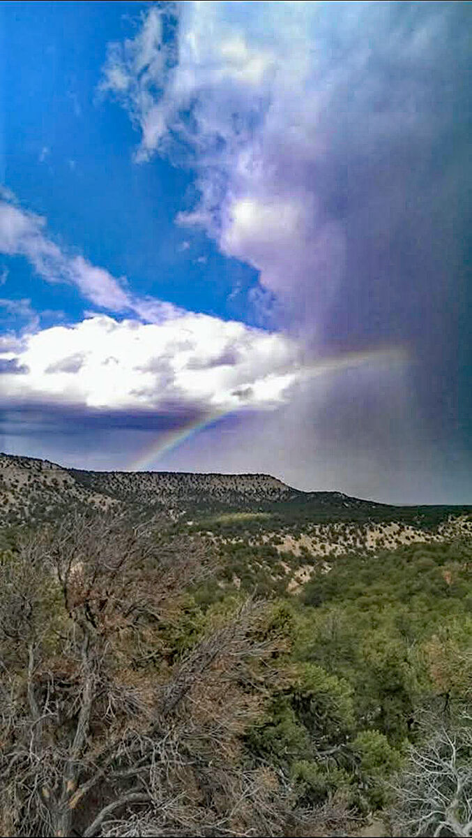 15 Acres in Fruitland, Prime Land Between Strawberry & Starvation, Surrounded by Wildlife Refuge