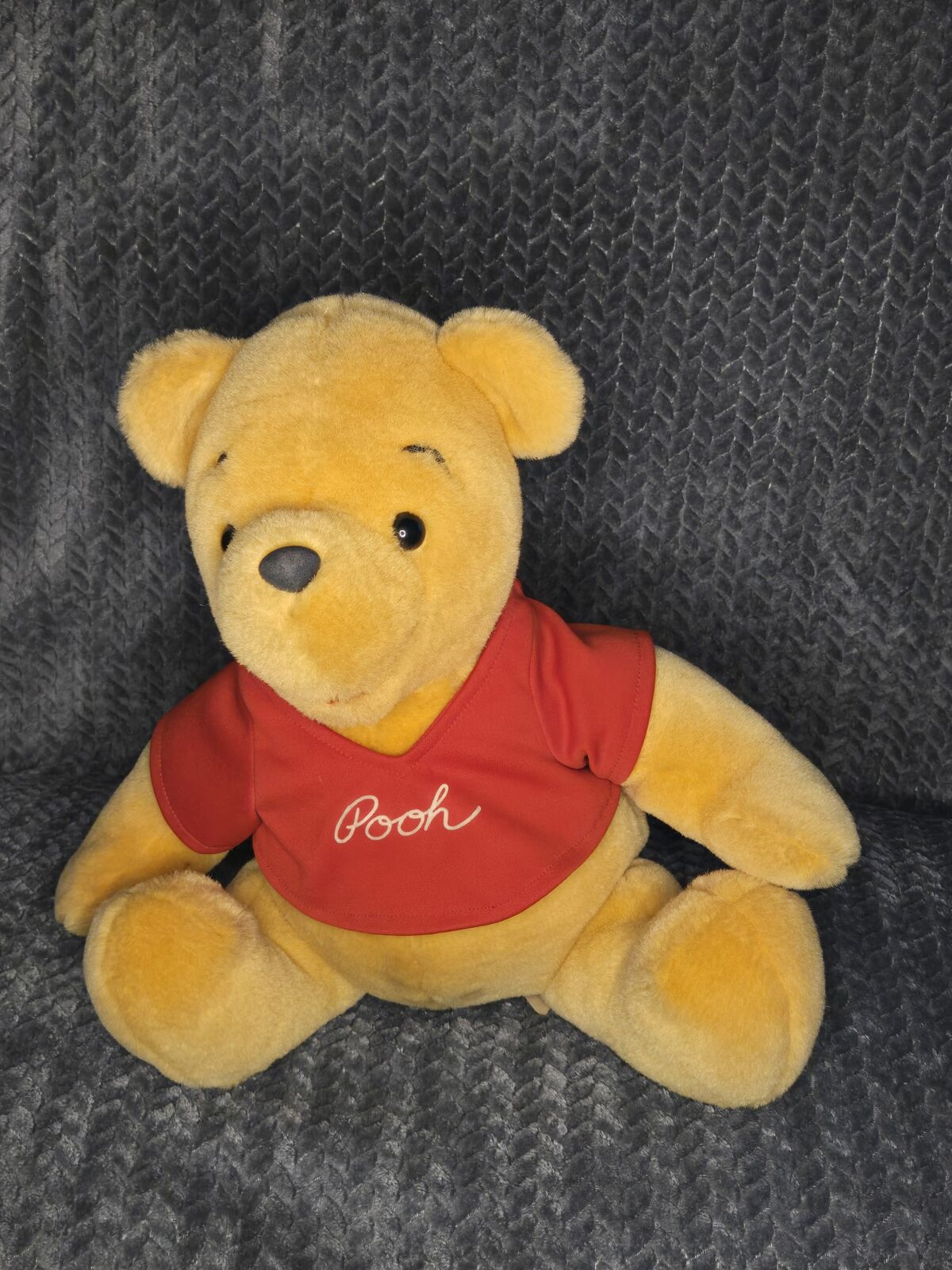 Pooh Bear stuffed animal.