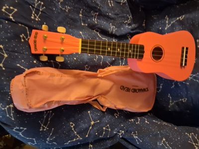 Ukulele for beginner