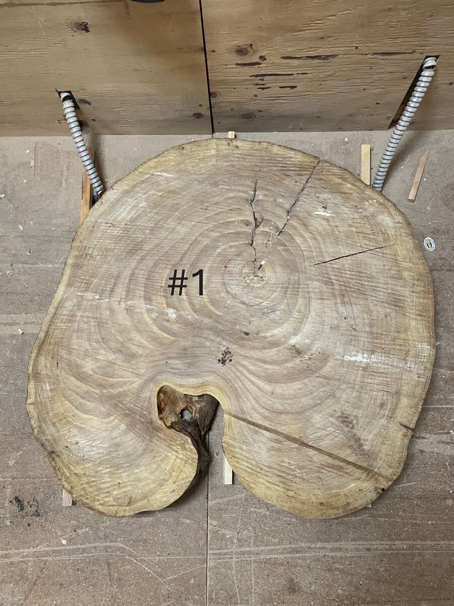 English Walnut Slabs