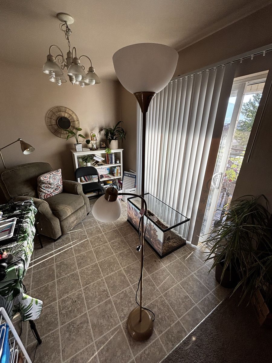 Floor Lamp with Side Reading Light and Frosted Glass Shades