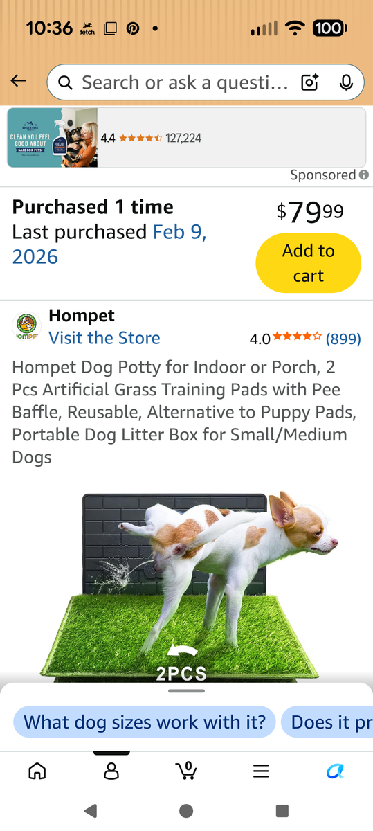 Dog potty