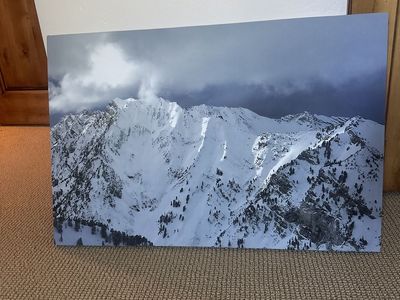 Canvas artwork