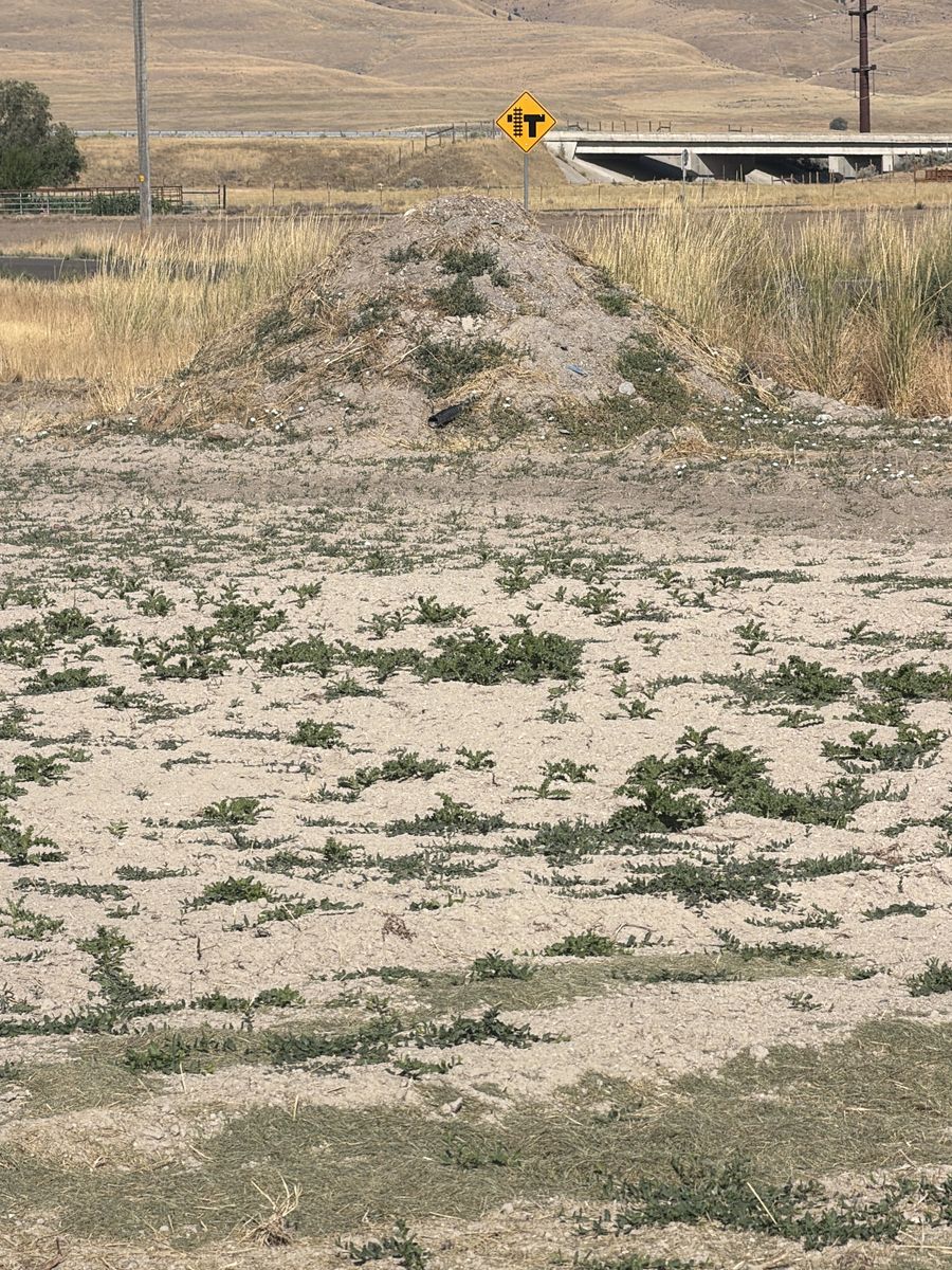 Main image 3