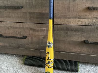 Louisville Savannah Bananas Baseball Bat Yellow Blue