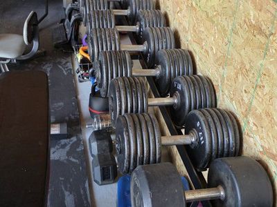 Pro style dumbells