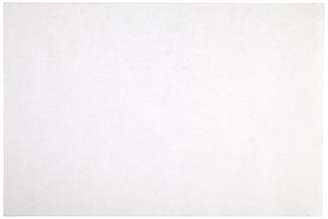 Sax Sulphite Drawing Paper, 80 lb, 9 x 12 Inches, Extra-White, Pack of 500 - 053943