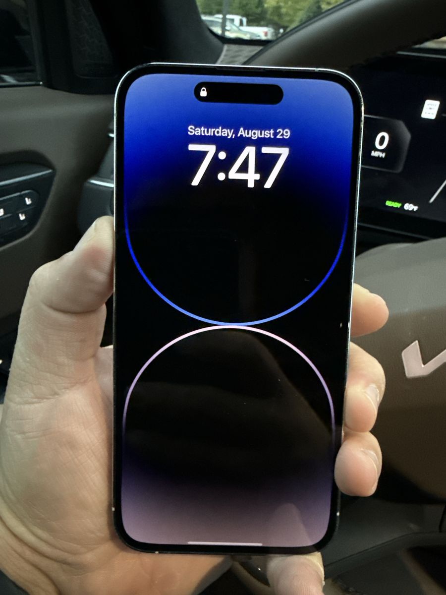 Apple 14 iPhone Pro Max 