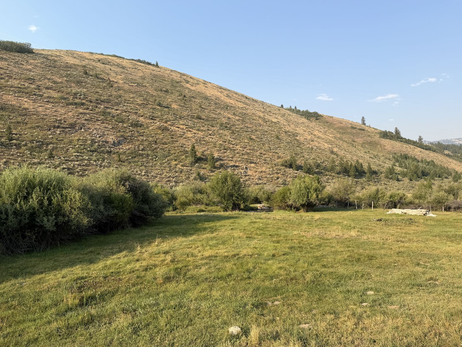Main image 8