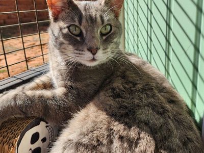 Hello my name is Durant