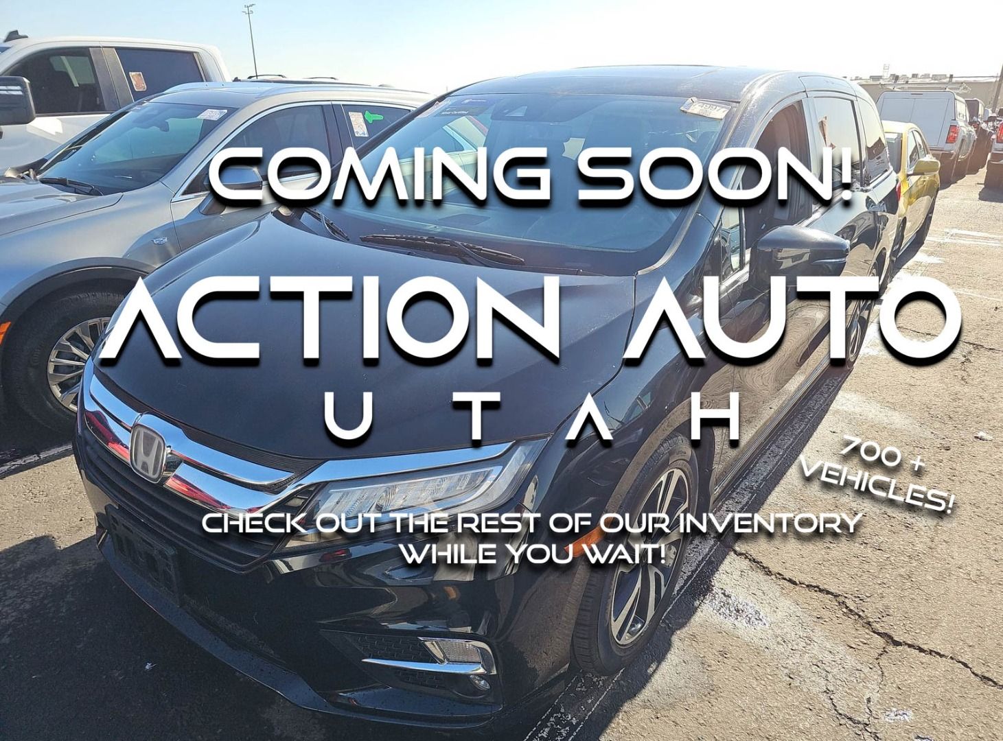 2019 Honda Odyssey Elite