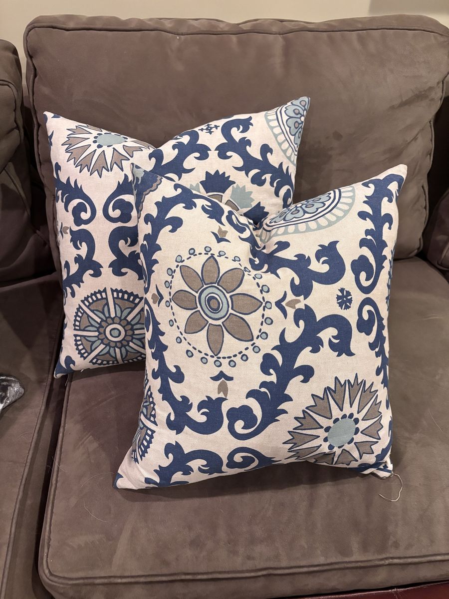 Darling pair of Pottery Barn throw pillows $25/pair