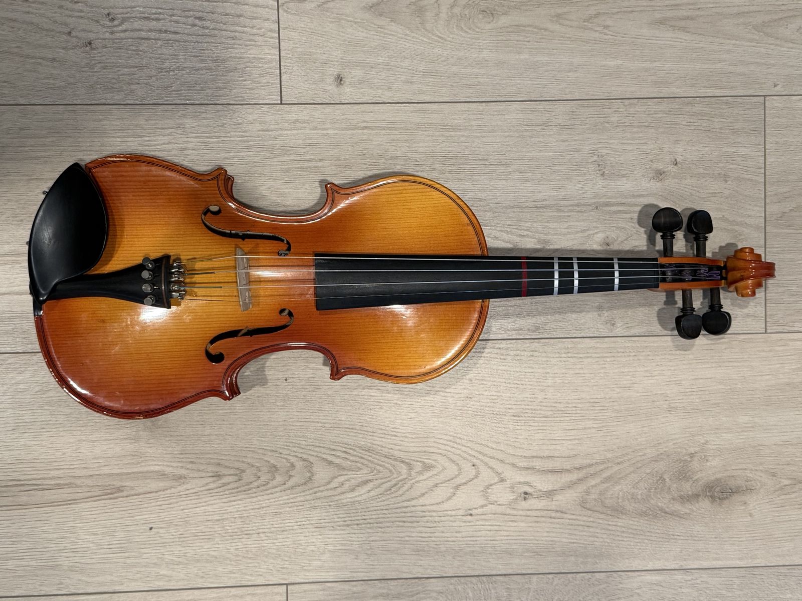 Violin 