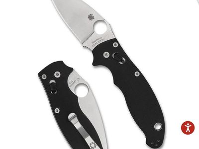 Spyderco C101GP2 PlainEdge Clip Point Folding Knife