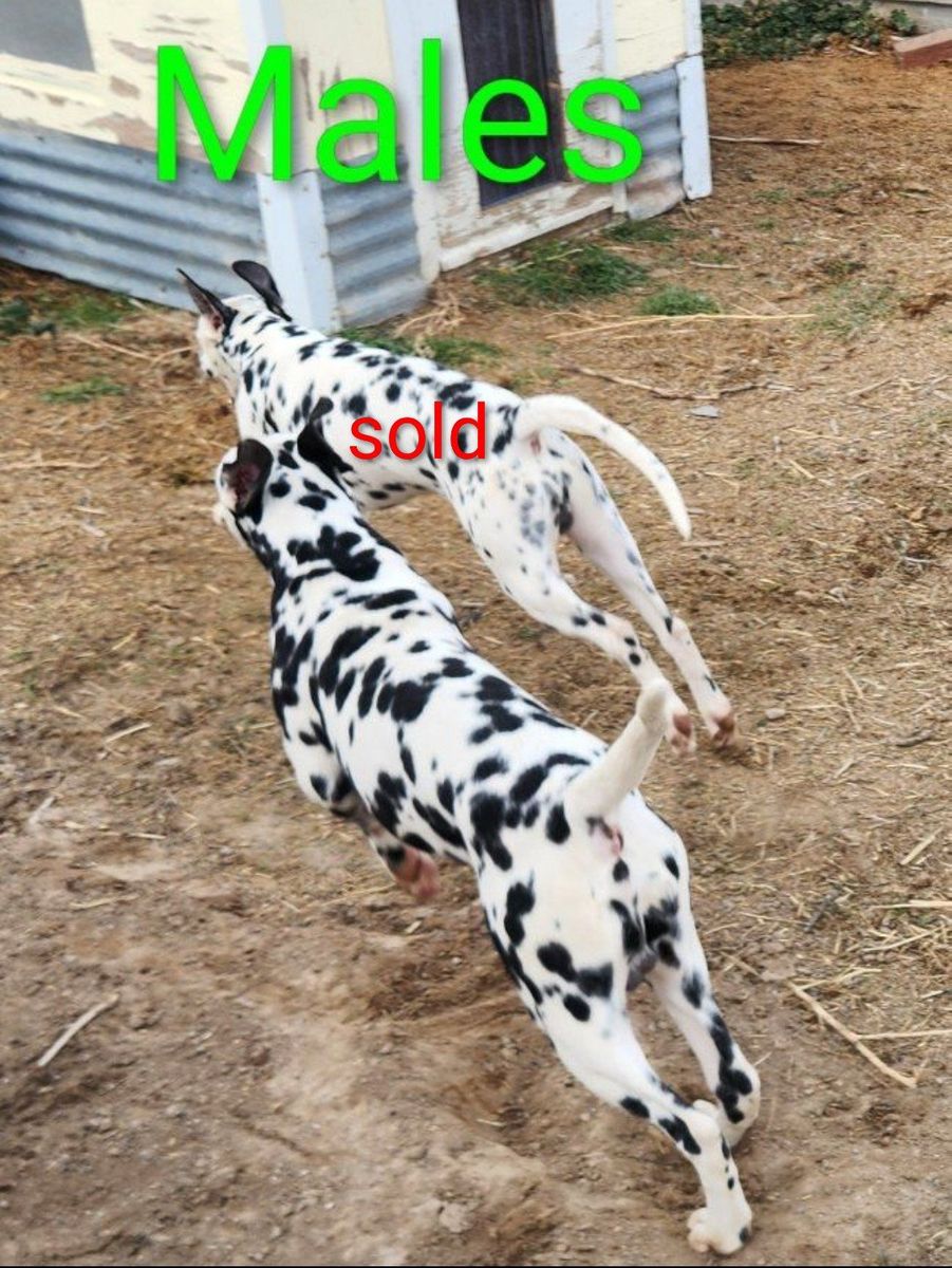 Main image 6