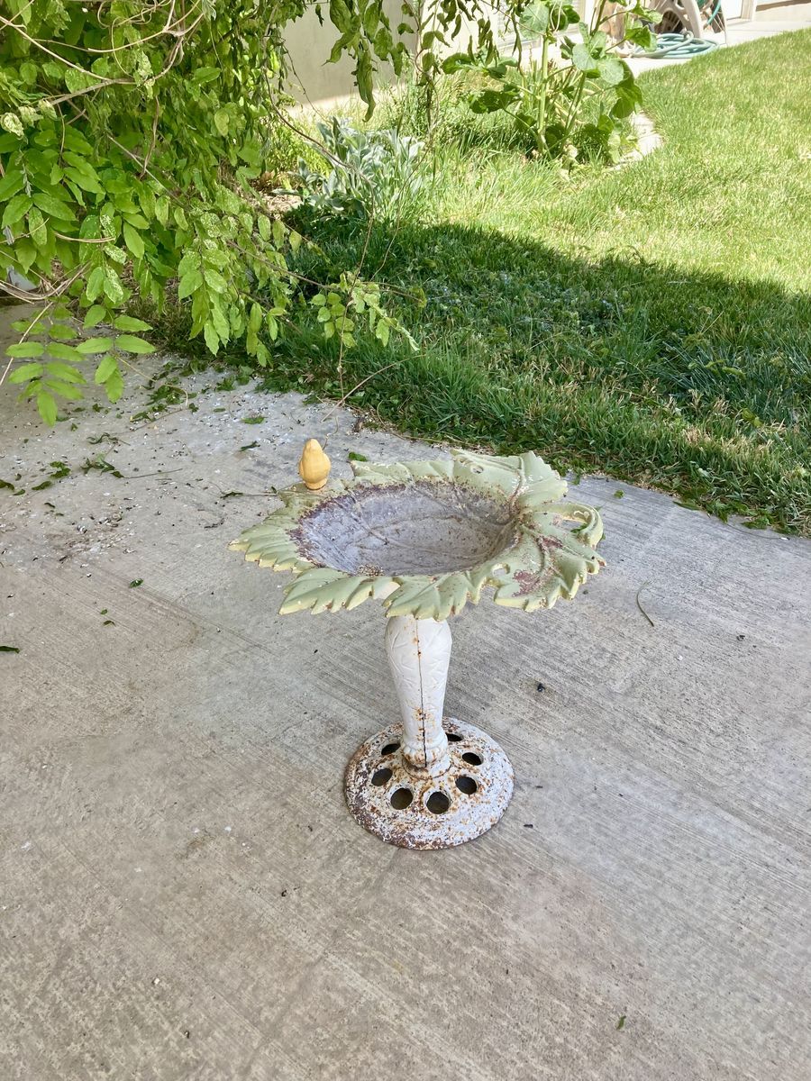 Cast iron birdbath