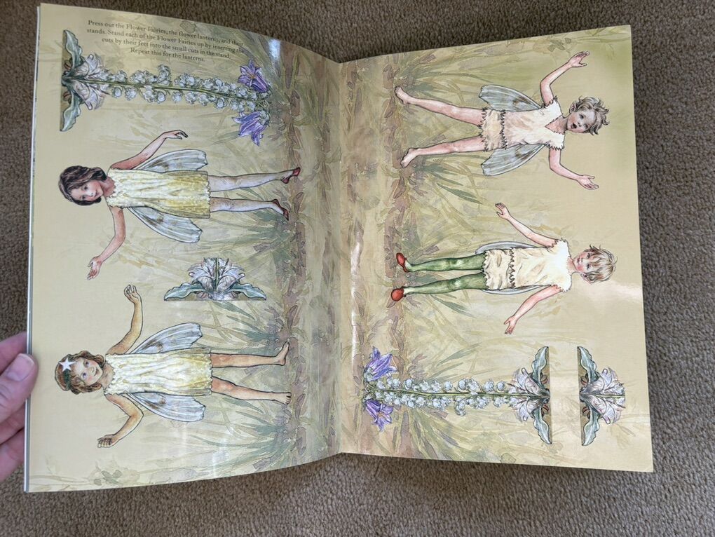 Main image 4