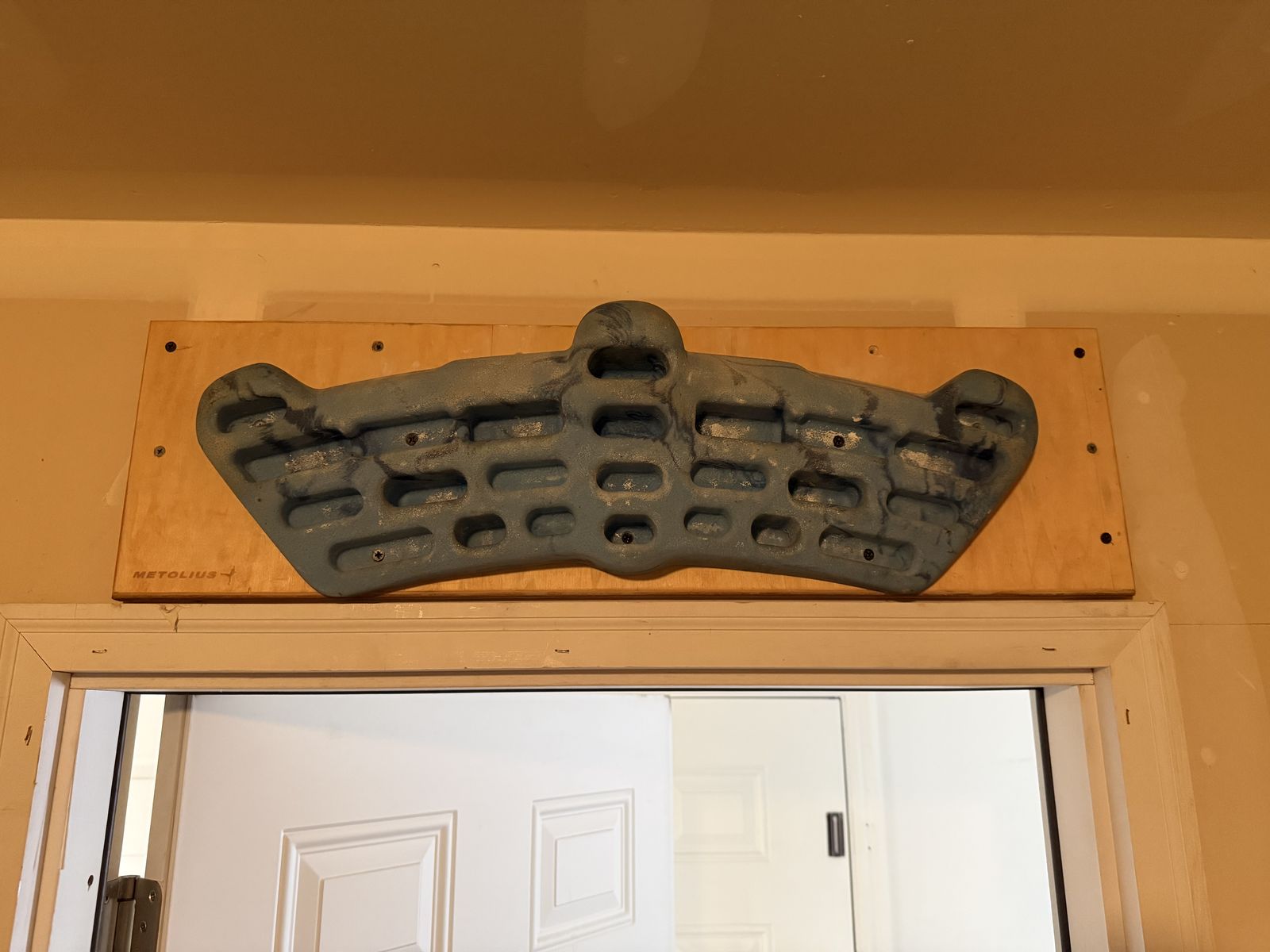 Metolius Hangboard