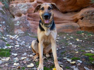 Hello my name is Lemon