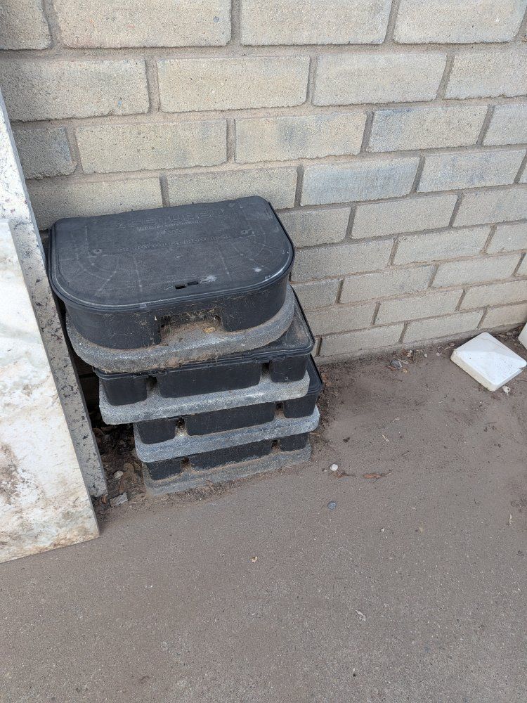 Mouse traps.