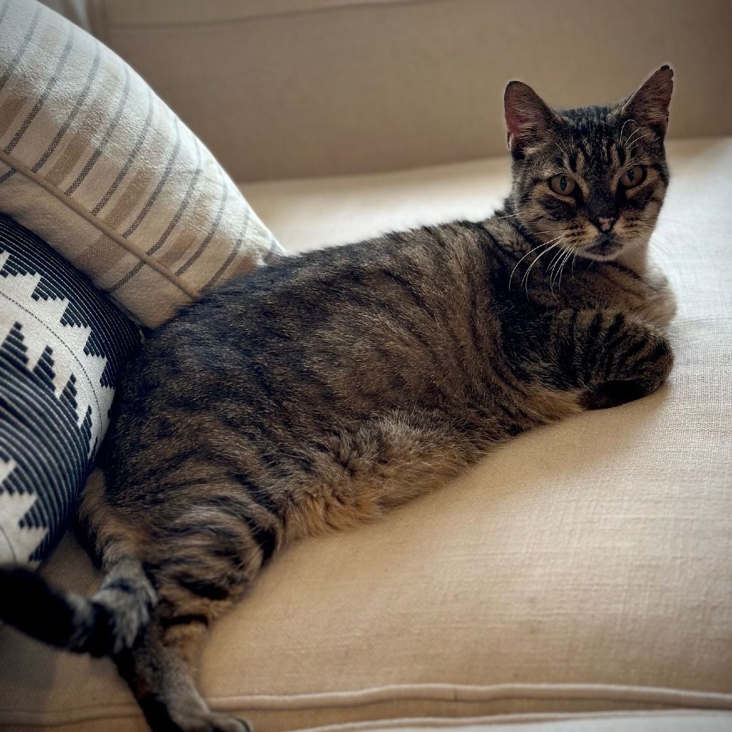 Hello my name is Chunky