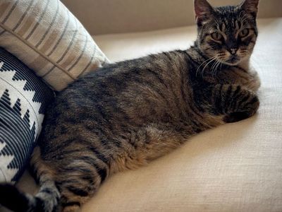 Hello my name is Chunky