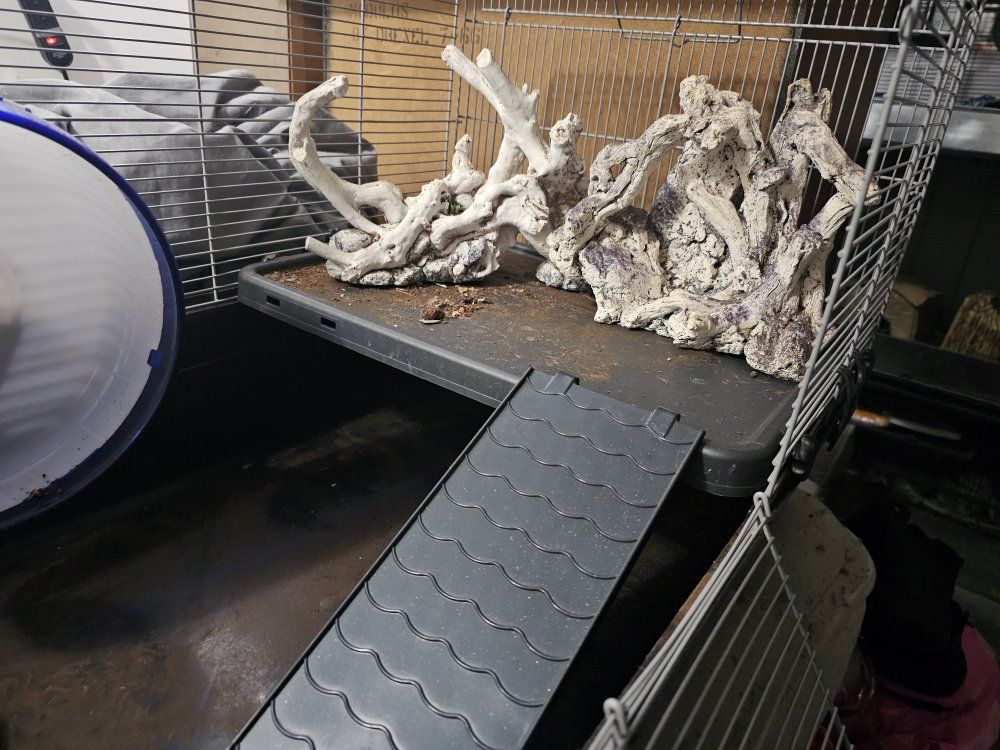Main image 3
