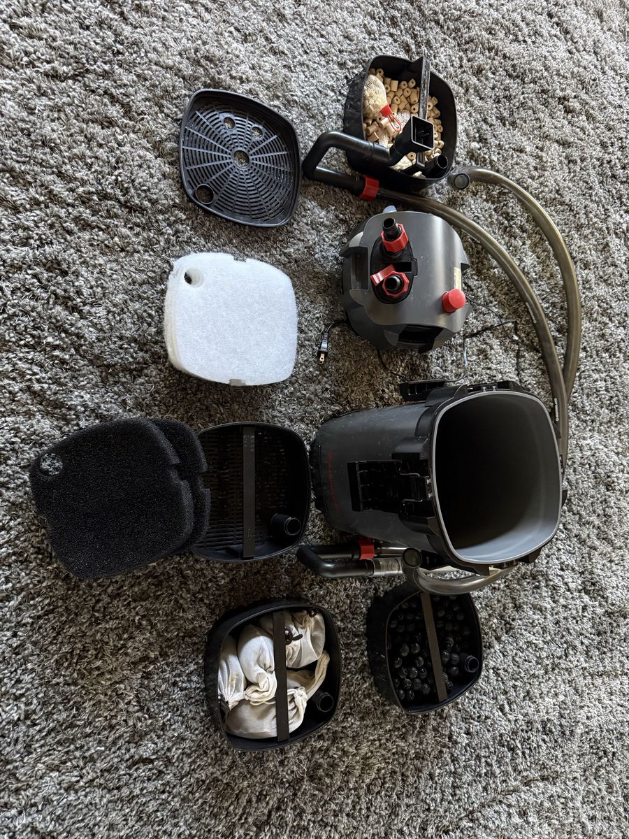 Main image 12