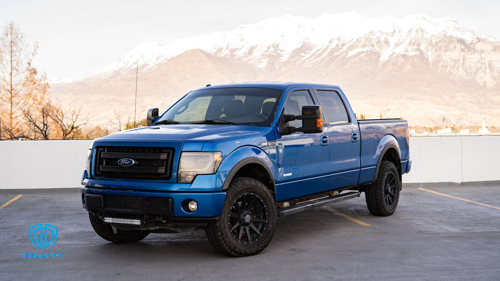 2014 FORD F150 FX4