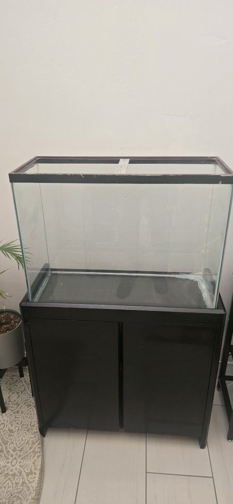 Main image 4