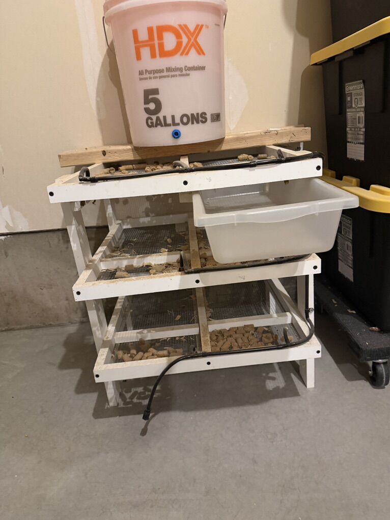 Rat Or African Soft fur breeding Rack