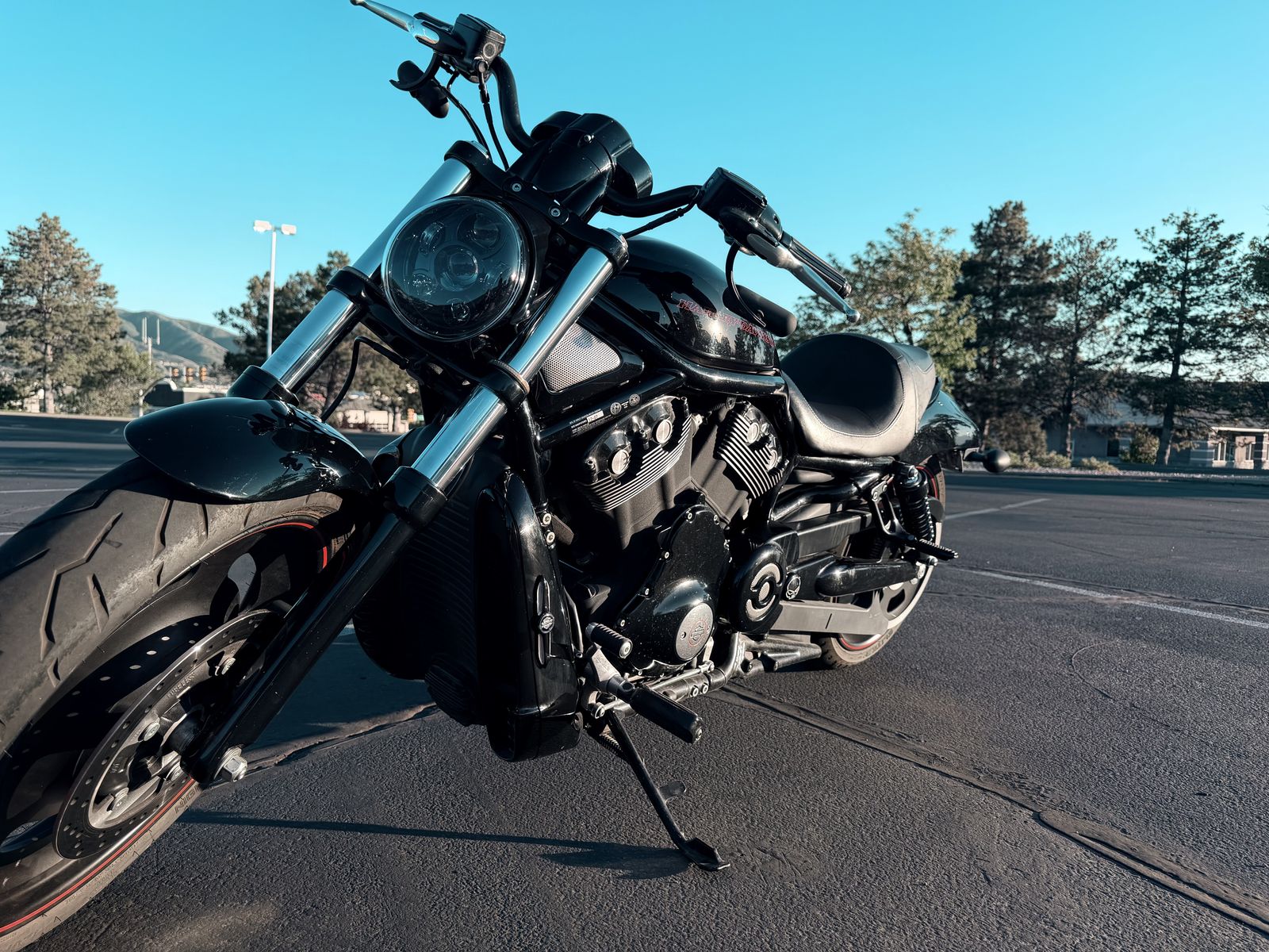 2008 Harley Night Rod Special (V-Rod Nightrod)