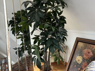 Tall Faux Tree