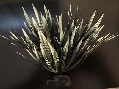 Aquarium decor plant