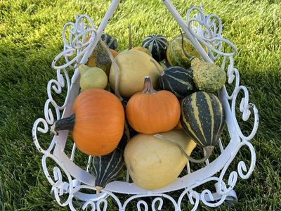 Curved and Decorative Metal Basket - Vintage