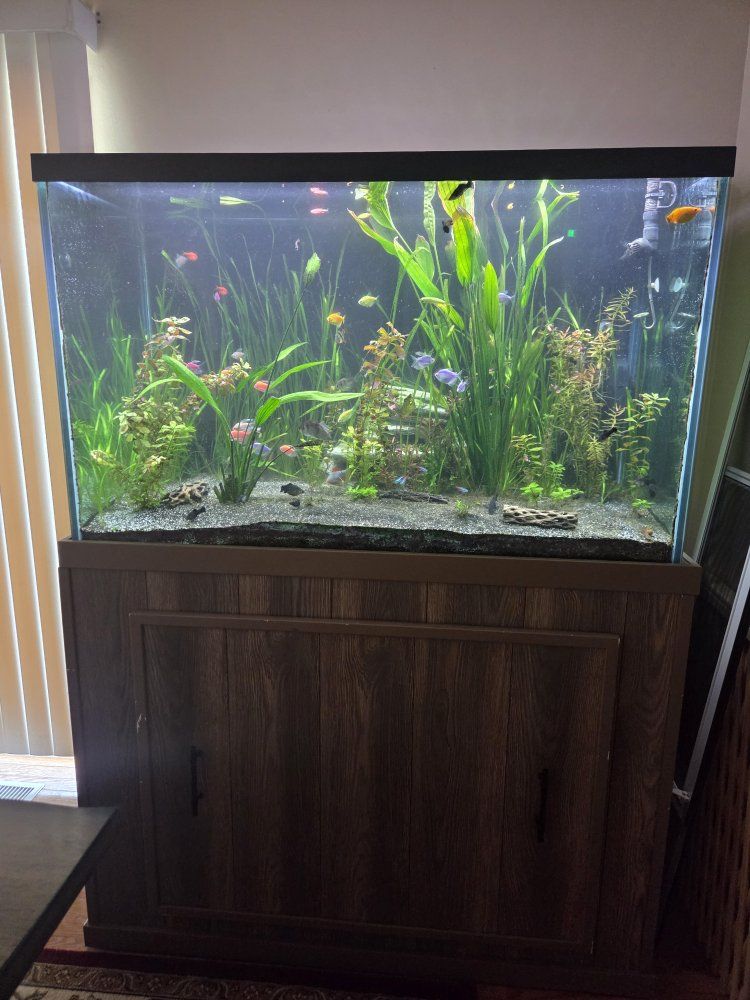 150-Gallon fish tank