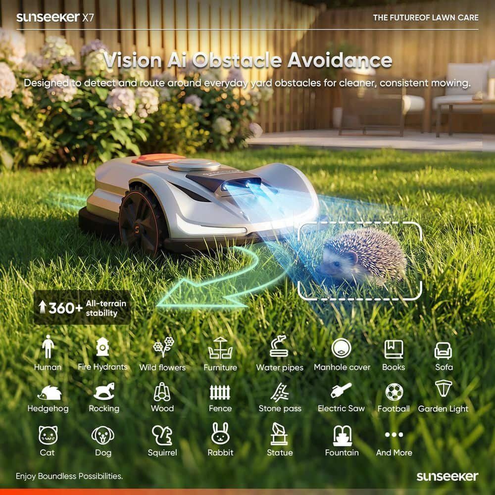 Main image 6