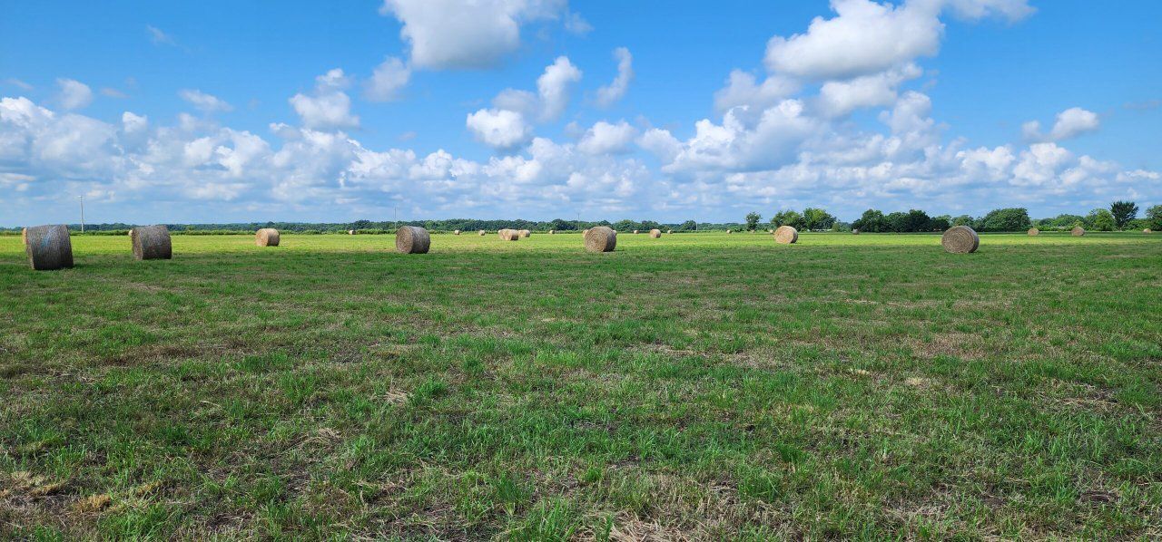 3x4x8 Alfalfa Hay for sale Text 435-340-6029