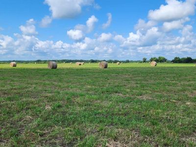 3x4x8 Alfalfa Hay for sale Text 435-340-6029