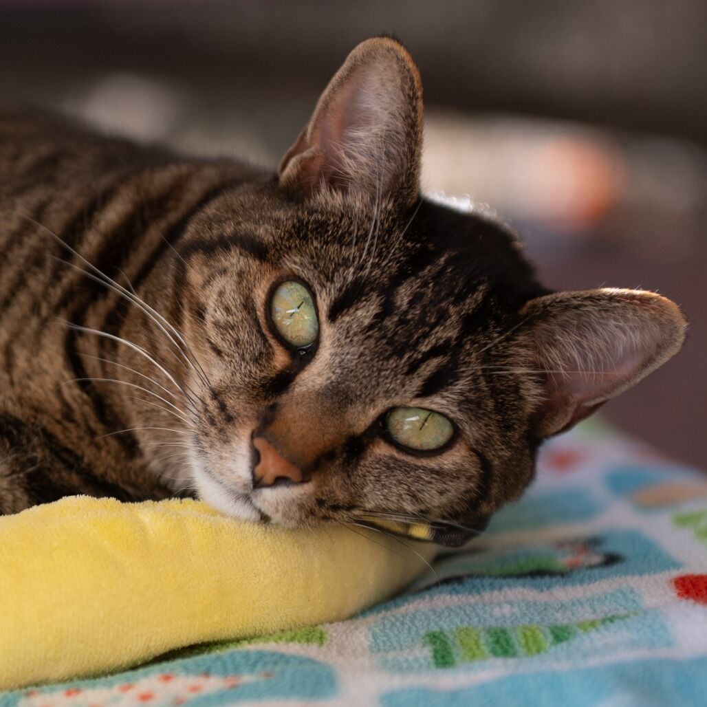 Hello my name is Natalie